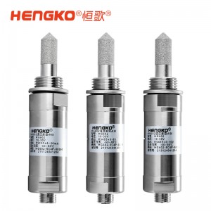 恒歌定制RS485露點測量儀_響應(yīng)快測量精準(zhǔn)檔案室露點記錄儀