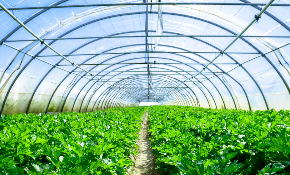 微信圖片_20250314105450